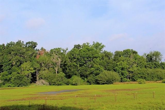 12789 E County Road 112, Centerville, TX 75833