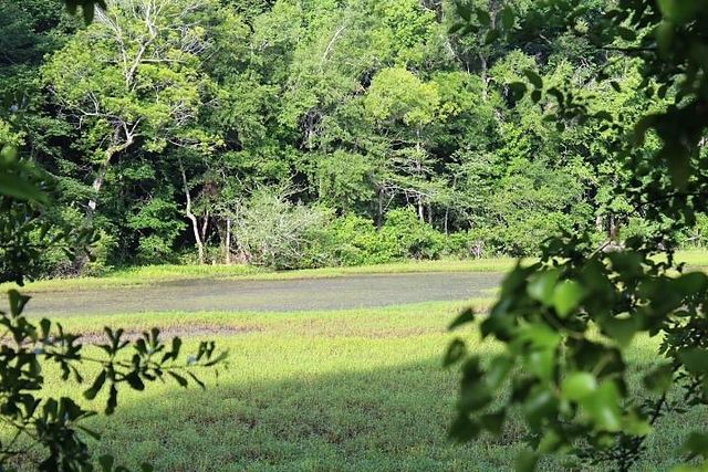 12789 E County Road 112, Centerville, TX 75833