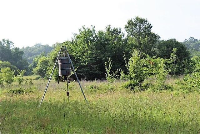 12789 E County Road 112, Centerville, TX 75833