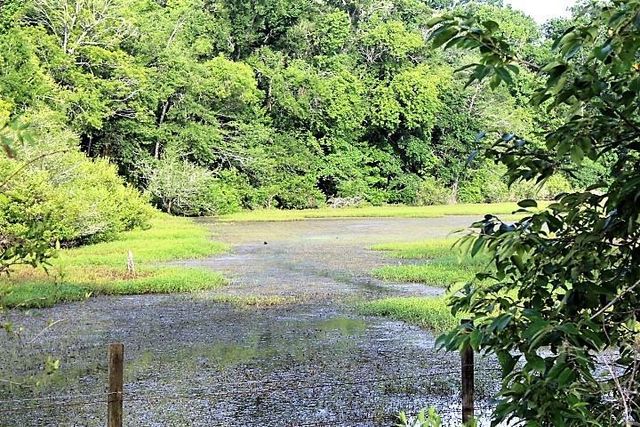 12789 E County Road 112, Centerville, TX 75833