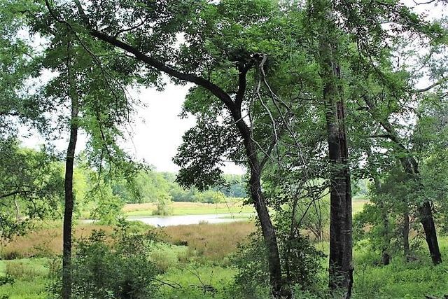 12789 E County Road 112, Centerville, TX 75833