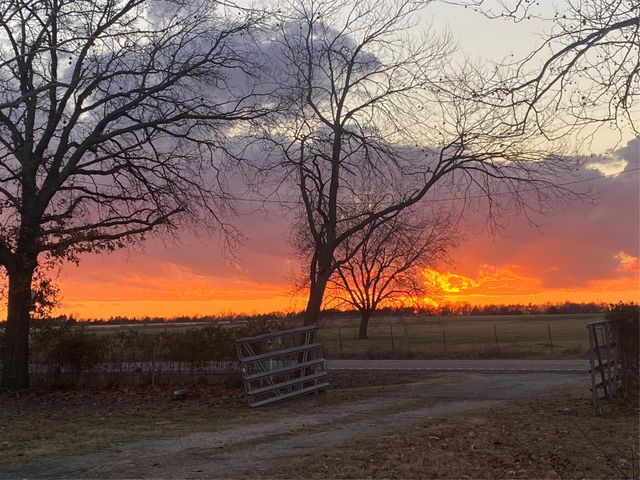 3751 Fm 903, Farmersville, TX 75442