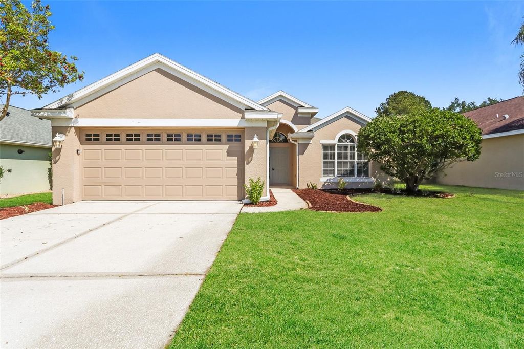23211 BAYOU GROVE STREET, Land O Lakes, FL 34639