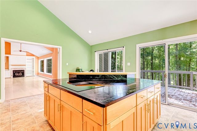 13033 Little Bridge Dr, Doswell, VA 23047