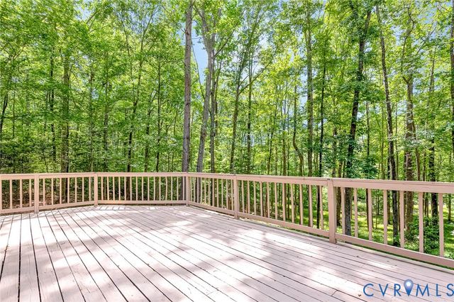 13033 Little Bridge Dr, Doswell, VA 23047