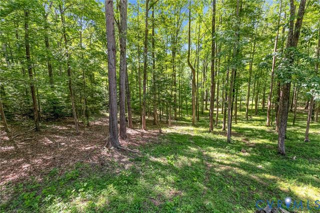 13033 Little Bridge Dr, Doswell, VA 23047