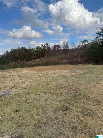 4329 HATHAWAY LANE, Mount Olive, AL 35117