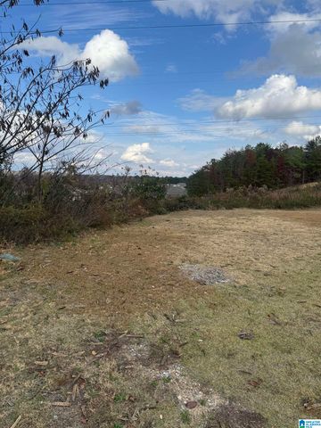 4329 HATHAWAY LANE, Mount Olive, AL 35117