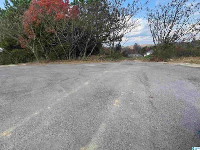 4329 HATHAWAY LANE, Mount Olive, AL 35117