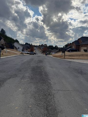 4329 HATHAWAY LANE, Mount Olive, AL 35117