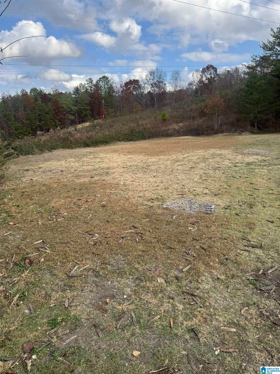 4329 HATHAWAY LANE, Mount Olive, AL 35117
