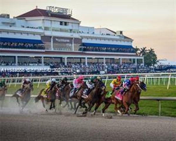 329 SE 3rd St 502S, Hallandale Beach, FL 33009