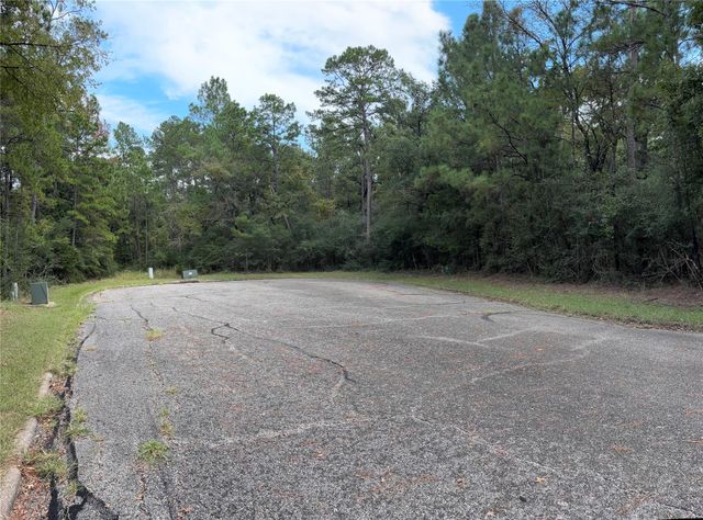 TBD Beechnut Ct, Montgomery, TX 77320