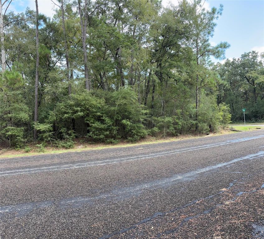 TBD Beechnut Ct, Montgomery, TX 77320