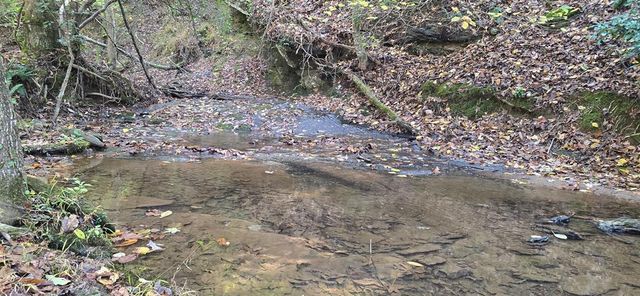 1350 Stivers Road, Jasper, GA 30143