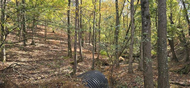 1350 Stivers Road, Jasper, GA 30143