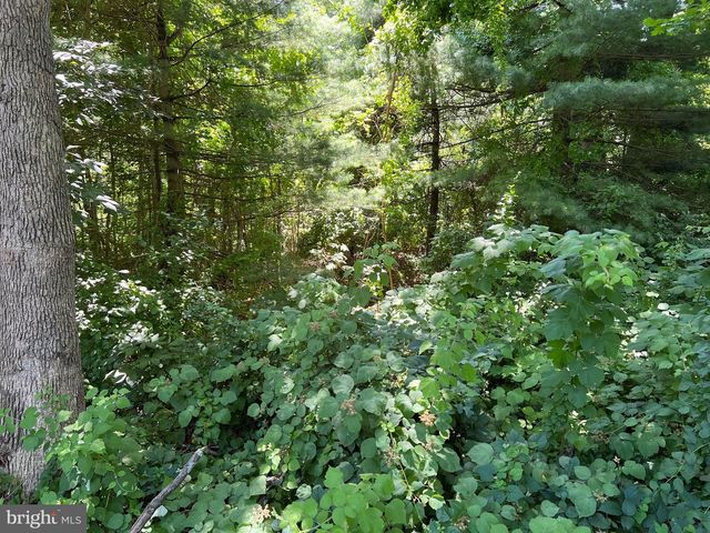 301 NORTHEAST ROAD, Aberdeen, MD 21001