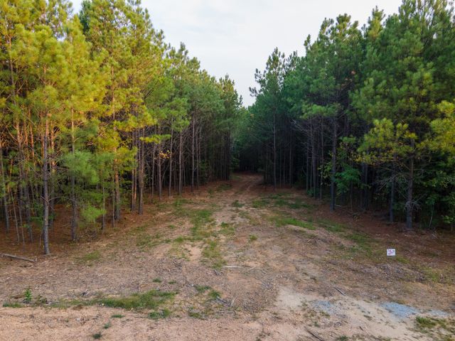 538 Seiber Ridge Road, Hohenwald, TN 38462