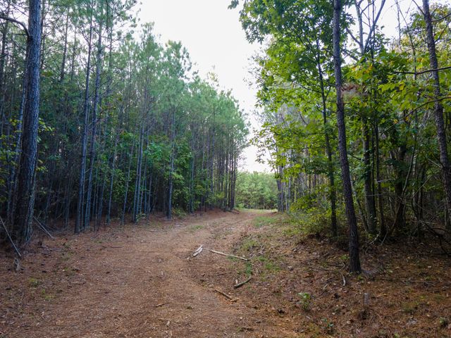 538 Seiber Ridge Road, Hohenwald, TN 38462