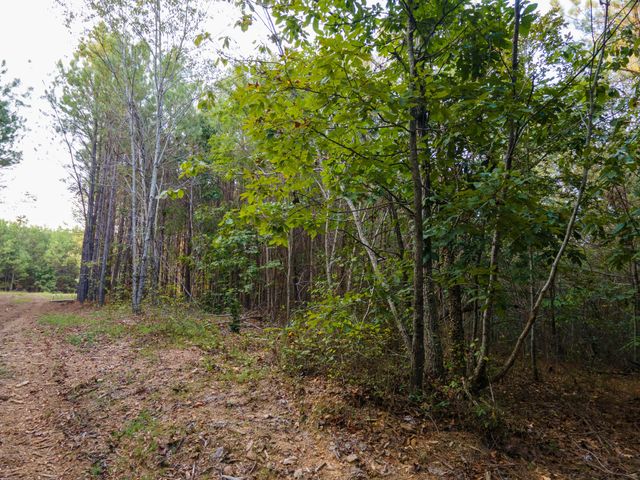 538 Seiber Ridge Road, Hohenwald, TN 38462