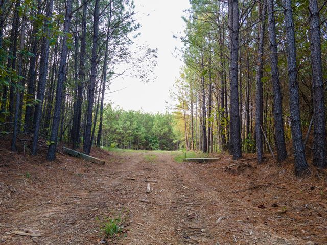 538 Seiber Ridge Road, Hohenwald, TN 38462