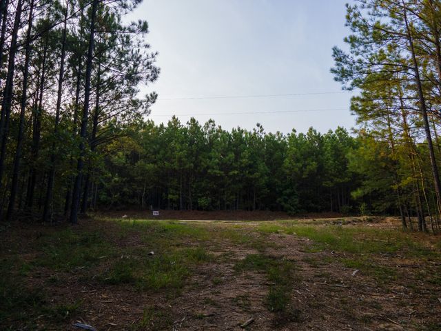 538 Seiber Ridge Road, Hohenwald, TN 38462