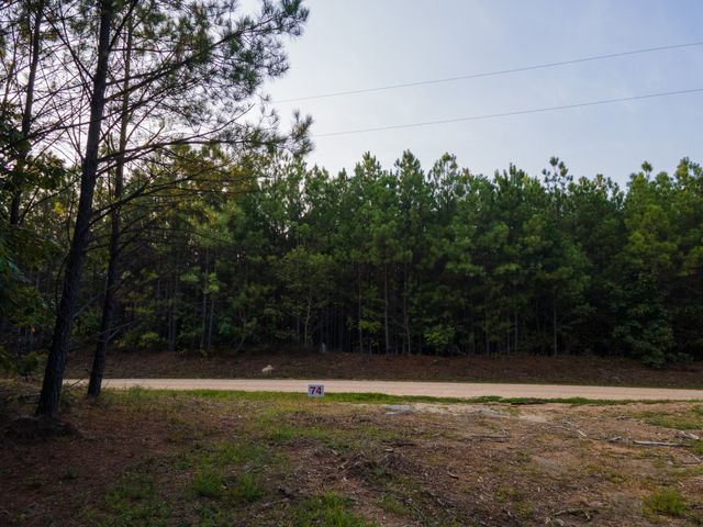 538 Seiber Ridge Road, Hohenwald, TN 38462