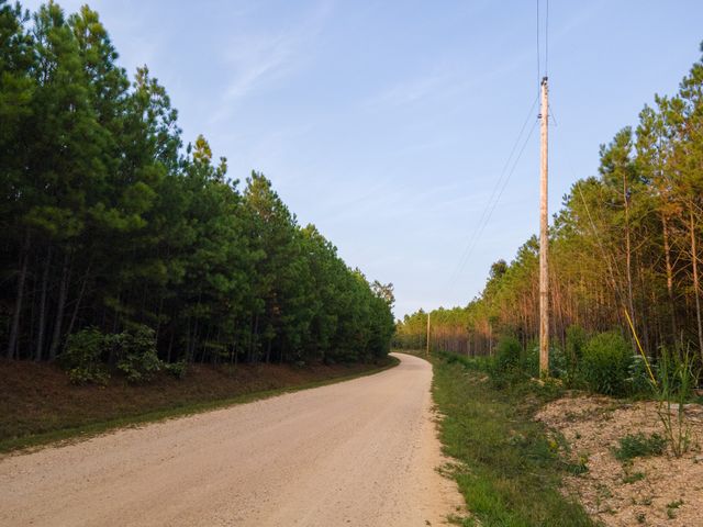 538 Seiber Ridge Road, Hohenwald, TN 38462