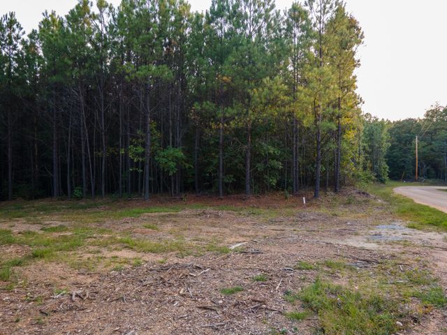 538 Seiber Ridge Road, Hohenwald, TN 38462