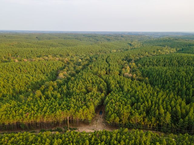 538 Seiber Ridge Road, Hohenwald, TN 38462