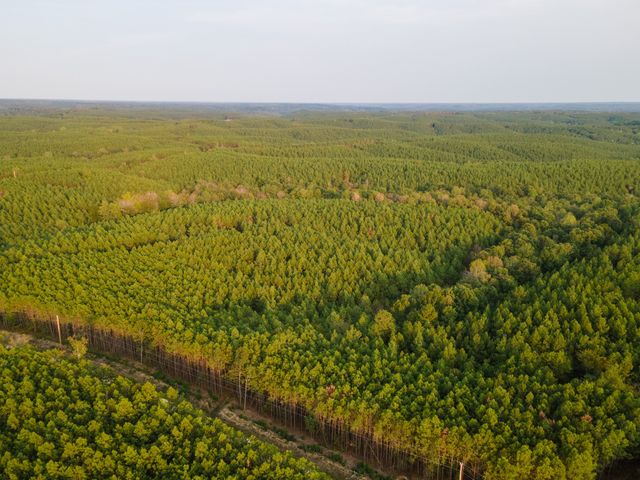 538 Seiber Ridge Road, Hohenwald, TN 38462