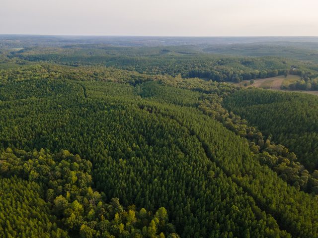538 Seiber Ridge Road, Hohenwald, TN 38462
