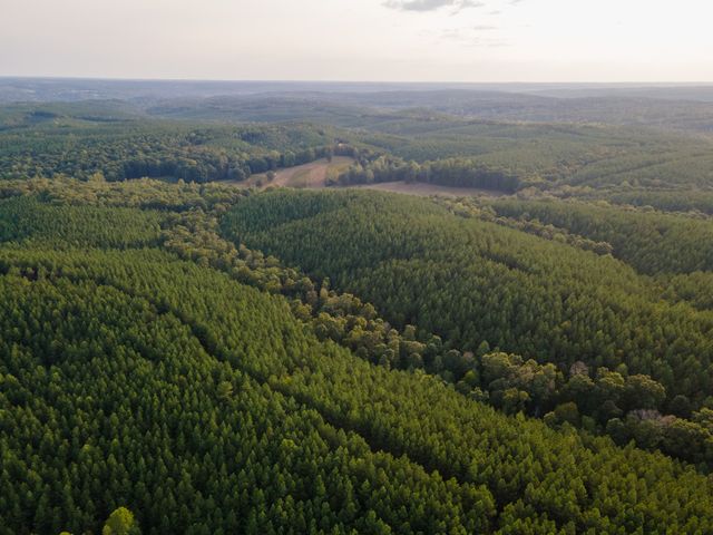 538 Seiber Ridge Road, Hohenwald, TN 38462