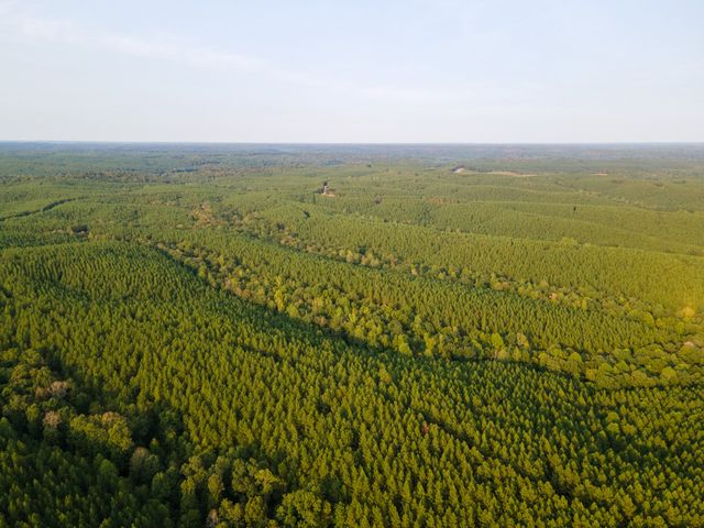 538 Seiber Ridge Road, Hohenwald, TN 38462