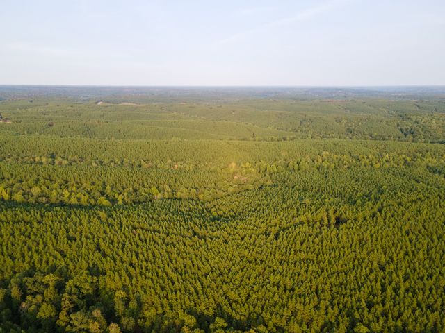 538 Seiber Ridge Road, Hohenwald, TN 38462