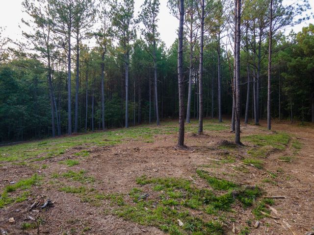 538 Seiber Ridge Road, Hohenwald, TN 38462