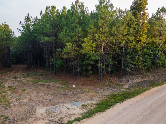 538 Seiber Ridge Road, Hohenwald, TN 38462
