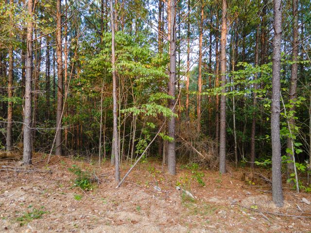 538 Seiber Ridge Road, Hohenwald, TN 38462