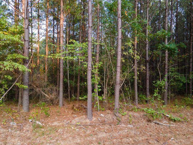 538 Seiber Ridge Road, Hohenwald, TN 38462