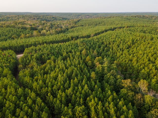 538 Seiber Ridge Road, Hohenwald, TN 38462
