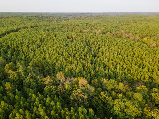 538 Seiber Ridge Road, Hohenwald, TN 38462