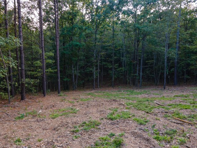 538 Seiber Ridge Road, Hohenwald, TN 38462