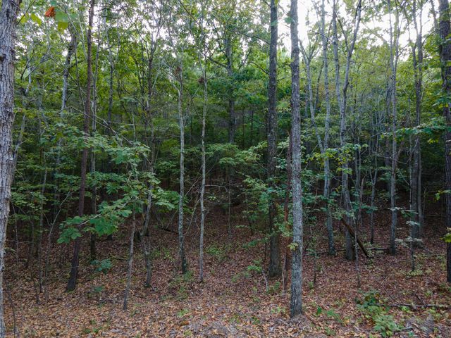 538 Seiber Ridge Road, Hohenwald, TN 38462