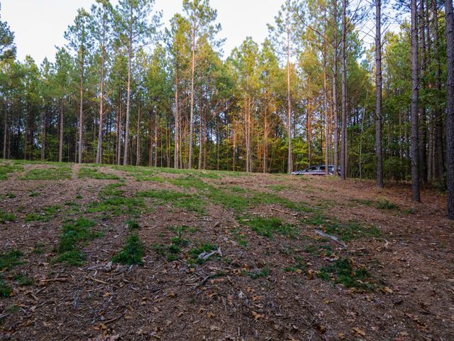 538 Seiber Ridge Road, Hohenwald, TN 38462