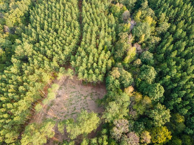 538 Seiber Ridge Road, Hohenwald, TN 38462