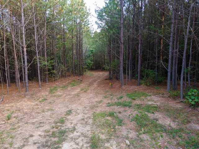 538 Seiber Ridge Road, Hohenwald, TN 38462