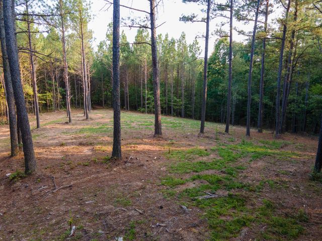 538 Seiber Ridge Road, Hohenwald, TN 38462