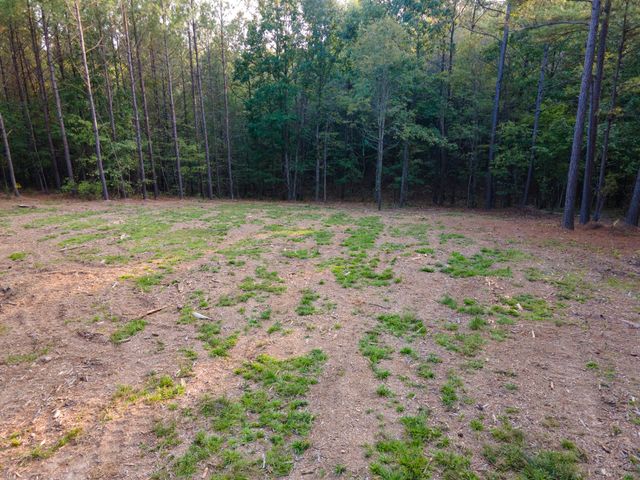 538 Seiber Ridge Road, Hohenwald, TN 38462