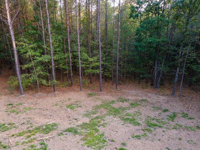 538 Seiber Ridge Road, Hohenwald, TN 38462