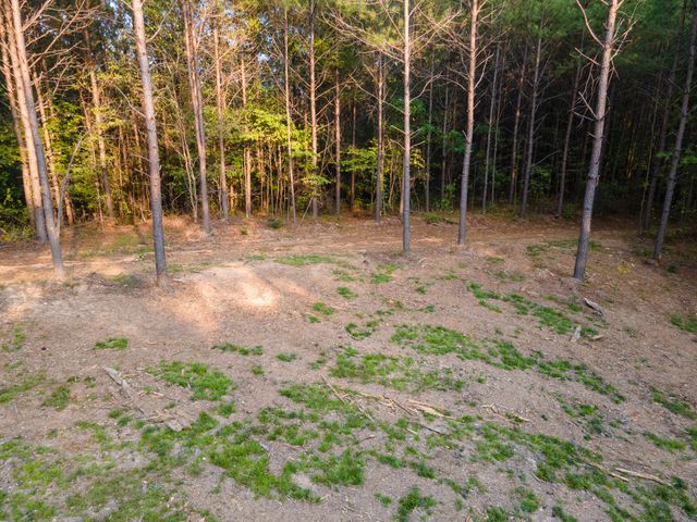 538 Seiber Ridge Road, Hohenwald, TN 38462